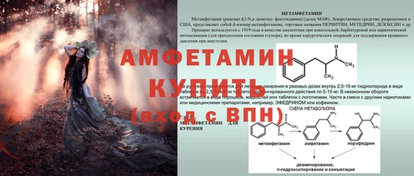 PSILOCYBIN Верея