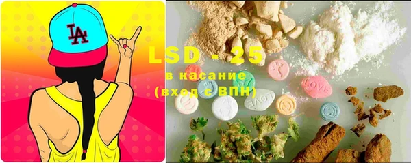 PSILOCYBIN Верея