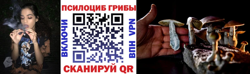 Купить  Кяхта  Псилоцибиновые грибы MAGIC MUSHROOMS 