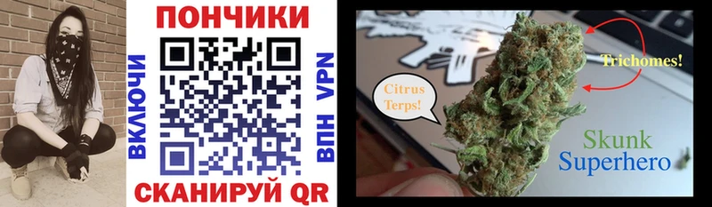 Каннабис план  Купить где  Кяхта 